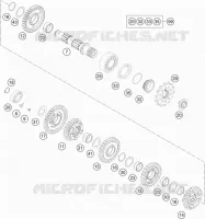 CAMBIO DI VELOCITA - ALBERO SECONDARIO