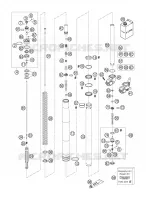 FORCELLA ANTERIORE (COMPONENTI)