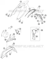 PLASTICHE