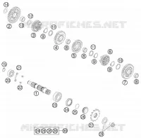 CAMBIO DI VELOCITA - ALBERO SECONDARIO
