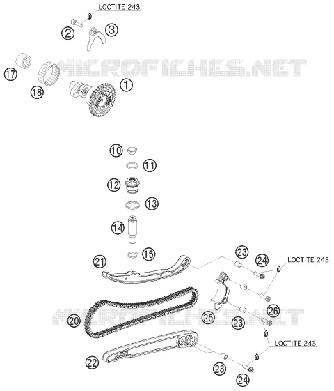 DISTRIBUZIONE 
