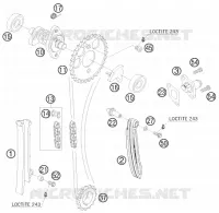 DISTRIBUZIONE 