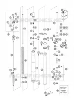 FORCELLA ANTERIORE (COMPONENTI)