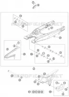 FORCELLONE