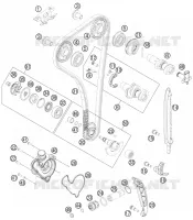 DISTRIBUZIONE 