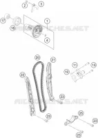 DISTRIBUZIONE 