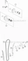 DISTRIBUZIONE 