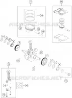 ALBERO MOTORE / PISTONE