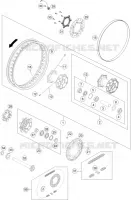 RUOTA POSTERIORE