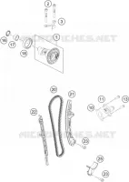 DISTRIBUZIONE 