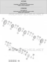 CAMBIO DI VELOCITA - ALBERO SECONDARIO