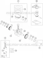 ALBERO MOTORE / PISTONE