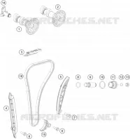 DISTRIBUZIONE 