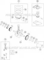 ALBERO MOTORE / PISTONE