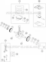 ALBERO MOTORE / PISTONE