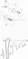 DISTRIBUZIONE 