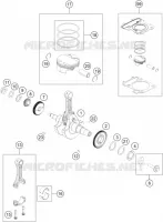 ALBERO MOTORE / PISTONE