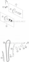 DISTRIBUZIONE 