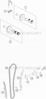 DISTRIBUZIONE 