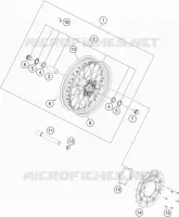 RUOTA ANTERIORE