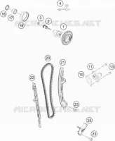 DISTRIBUZIONE 