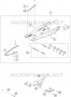 FORCELLONE