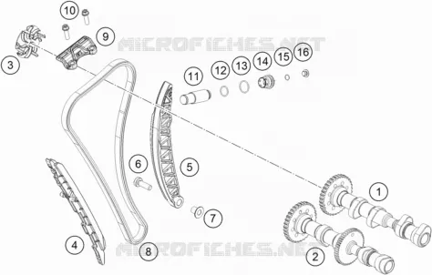 DISTRIBUZIONE 